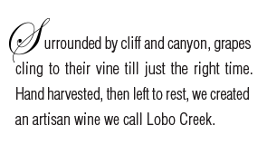 Lobo Creek Estate Vineyard